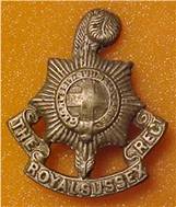 RSR WW1 economy cal badge